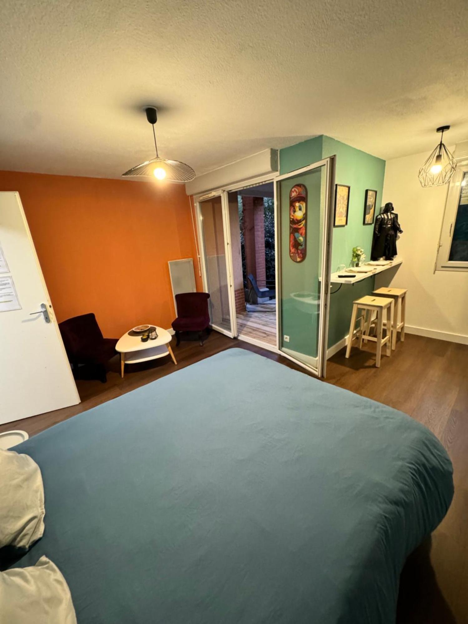 Le Loft Geek Apartamento Toulouse Exterior foto