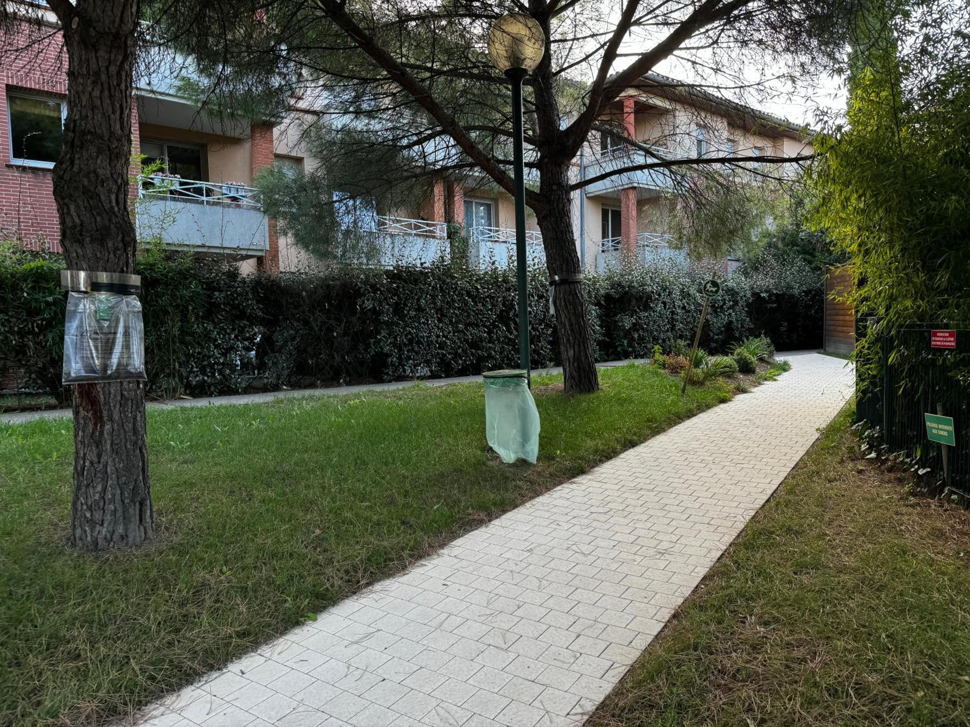 Le Loft Geek Apartamento Toulouse Exterior foto