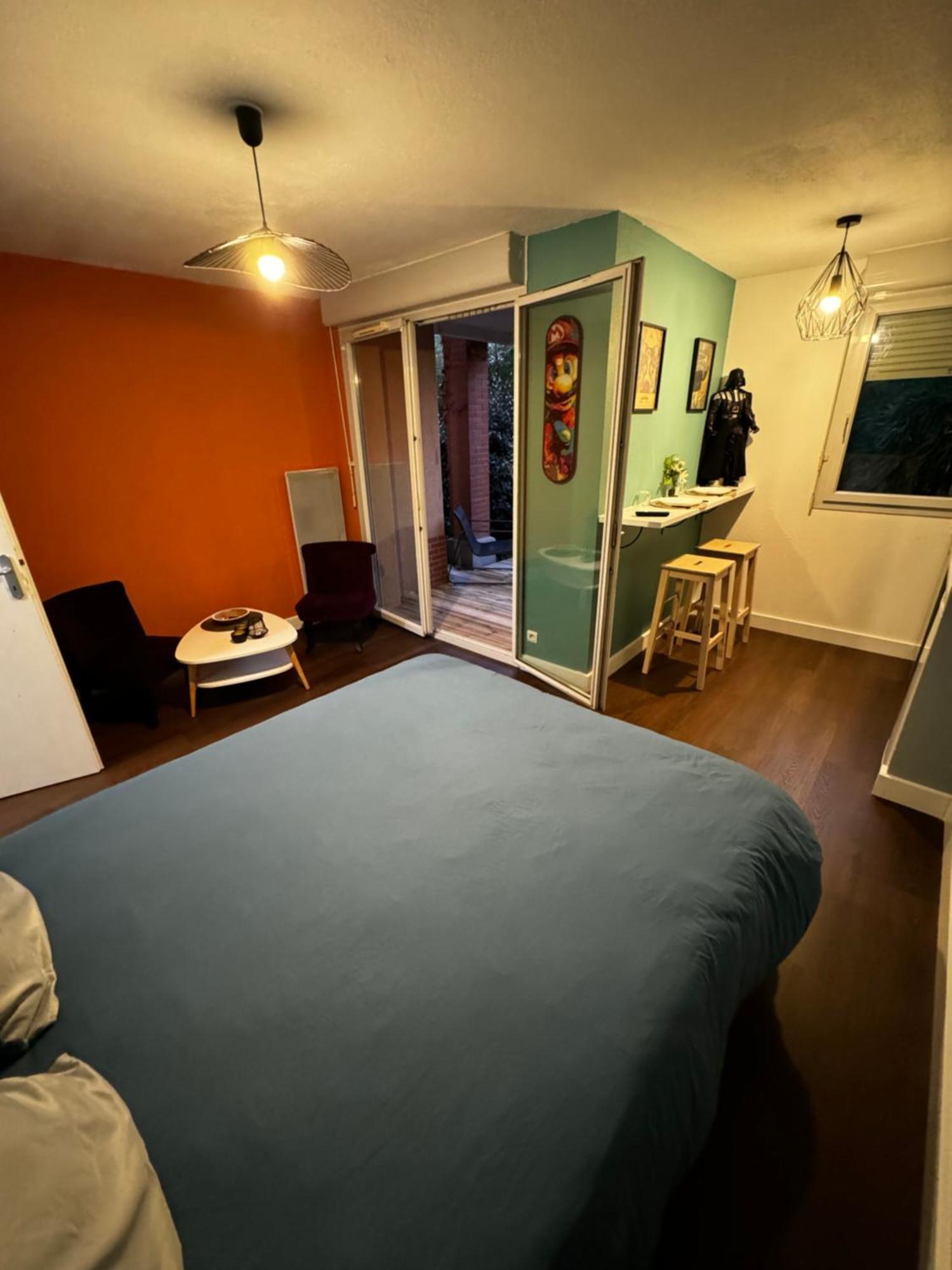 Le Loft Geek Apartamento Toulouse Exterior foto